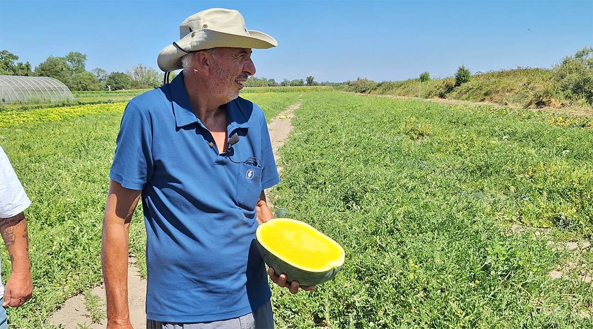Nella foto: Sandro Colombi, referente italiano Known You Seeds